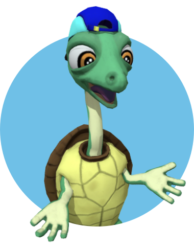 Zero the turtle avatar